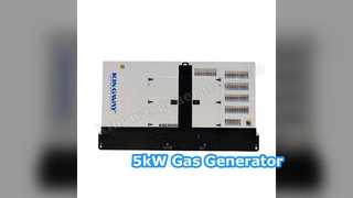 Betrouwbare stroomoplossing van 5 kW gasgenerator