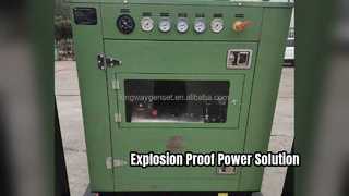 ATEX Zone explosieveilige dieselgenerator