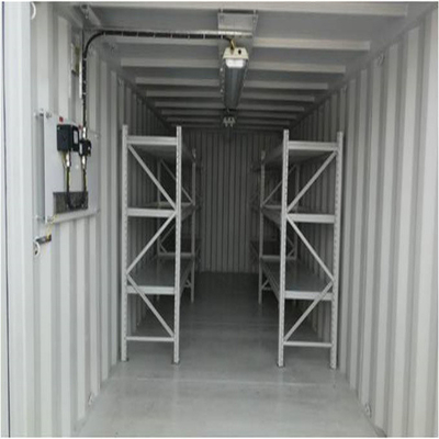 CSC-Dubbel verklaarde 10ft &amp; pasten 20ft DNV 2.7-1 Zeecontainers Embleem aan
