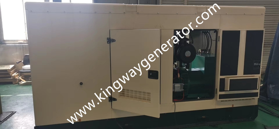 250KVA de Generator van Aardgascummins 200kw Stil voor de Airconditioner van de GasWarmtepomp