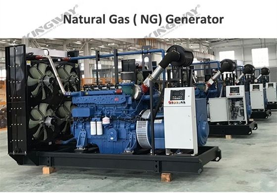 CE-ISO back-up generator voor elektriciteit met aardgasgenerator voor gas