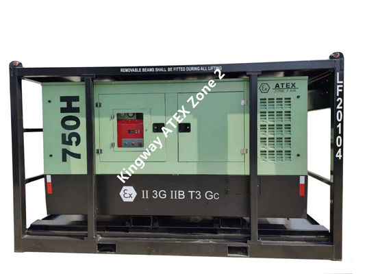 60kva 400v 50hz 3 fase 4 draad explosiebestendige dieselmotor ATEX gecertificeerd zone 2 nominale dnv generator voor offshore