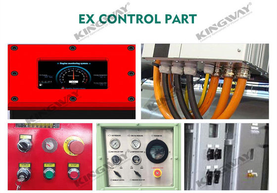 Voeding 400v 50hz 3 fase 4 draad 300kva dieselmotor ex-proof ATEX Zone 2 gerangschikt dnvooffshore generator