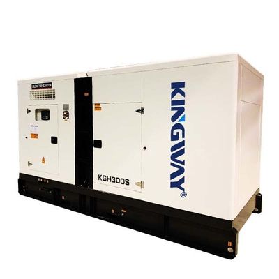 Warme verkoop Open stille grootschalige noodstroomopwekkingstoestellen 250 kW gaskrachtgenerator met frame skid industrie