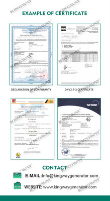 Offshore platform Canopy 25kva 400v 50hz 3 fase 4 draad explosiebestendige dieselmotor ATEX gecertificeerde zone 2 offshore generator