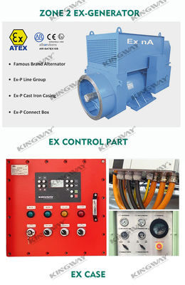 Offshoreplatform ATEX Zone 2 32kw 40kva zone1 explosiebestendige dieselgenerator set DNVGL 2.7-1 opheffingsframe