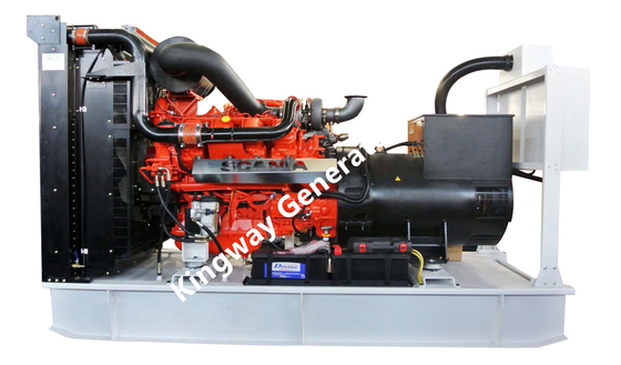 Stille Cummins de Noodsituatiegenerator van 325KVA 260KW voor het Ziekenhuis
